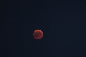 Czerwony księżyc na tle ciemnego nieba © POV_swiata
