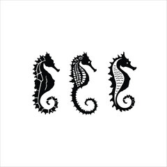 Three seahorses in black silhouette with different patterns on a white background displayed neatly