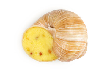 Dijon escargot snail filled with butter, garlic, Dijon mustard and cheese isolated on white background. Top view