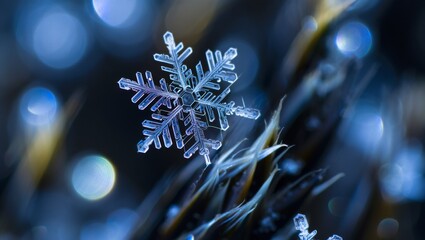 Intricate Snowflake on a Plant