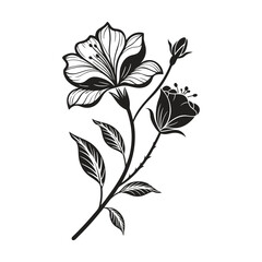 Elegant Floral Silhouette Vector Set | Hand-drawn Black and White Flower Designs | Botanical Clipart Elements for T-shirt, Tattoo, Wedding Decor, Invitations, Sublimation & Digital Art

