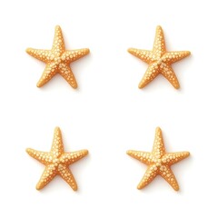 Set of Starfish Icon Seastar Fish Aquatic Wildlife Underwater Coral Animal Ocean Aquarium Biology Marine Mollusk Echinoderm organism illustration