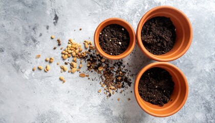 Preparing seedlings for planting home garden photo indoor top-down view gardening tips