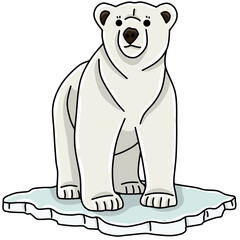 Polar bear animal 