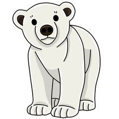 Polar bear animal 