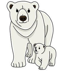 Polar bear animal 