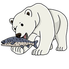 Polar bear animal 