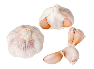 Garlic bulbs and cloves on transparent background