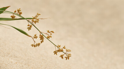 serene and intimate scene essence of minimalism soft pastel colors blending harmoniously