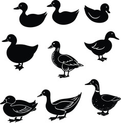 Duck Silhouette Vector Illustration for Nature and Wildlife Designs