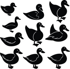 Fototapeta premium Duck Silhouette Vector Illustration for Nature and Wildlife Designs
