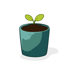 green plants in pots