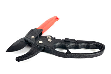 red secateurs in studio