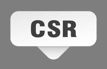 csr sticker. csr sign isolated on gray background