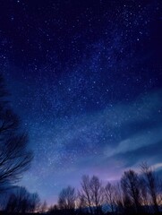 Fototapeta premium Night sky with stars over silhouetted trees in rural landscape; long exposure, astronomical view, astrophotography
