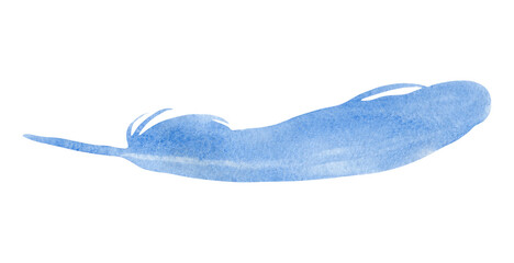 Watercolor illustration hand drawn blue large rounded long bird feather