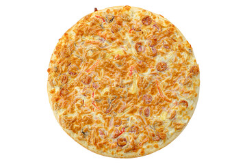 pizza on a white background. food for the menu and delivery site