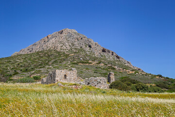 Old ruins of the Early Christian Basilika of Ayios Vassilios in a flowering meadow on a sunny spring day on Telendos island in Greece.