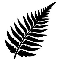 Fototapeta premium Botanical Fern Frond Illustration in Silhouette Against a White Background