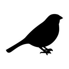 Silhouette of a small songbird standing, viewed from the side, on white