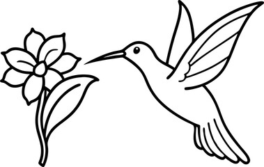 Obraz premium Hummingbird Hovering At Flower Line Art Vector Illustration