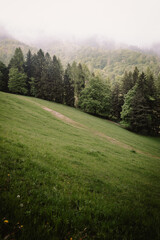 Gently sloping alpine hill with grass and cloudy atmosphere &ndash; Monte San Primo landscape view
