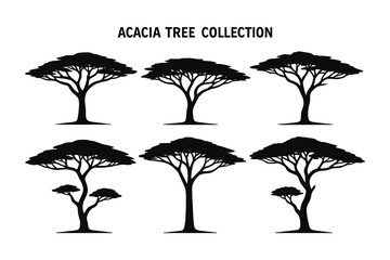 Set of black acacia tree silhouettes. Flat vector illustration isolated