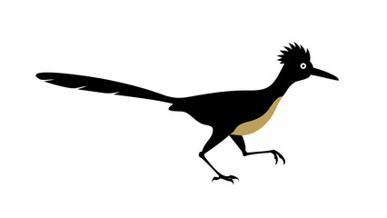 Roadrunner Silhouette Vector Graphic Illustration