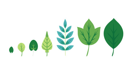 Diverse Leaf Shapes Vector Illustration Set