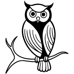 Cute black and white owl perched on a branch.