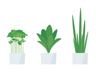 キッチン菜園で野菜を栽培するイラスト