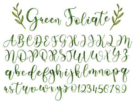 Set of green watercolor alphabet uppercase and lowercase letters and number vector