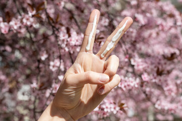 A person applying the correct amount of sunscreen for the face and neck – two finger lengths, with cherry blossom trees in the background. Concept of applying sunscreen in spring. 