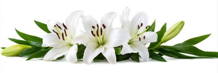 Elegant White Lily Wreath - Three pristine white lilies arranged in a wreath, symbolizing purity, peace, sympathy, remembrance, and beauty. A delicate and elegant floral design