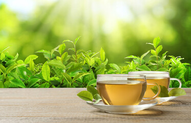 Cups of green tea on wooden table in tea plantation. Banner design with space for text