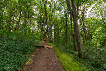 Woman hiking on forest trail