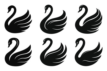 Vector black swan illustration