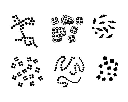 Vector isolated illustration of a set of cocci bacteria.