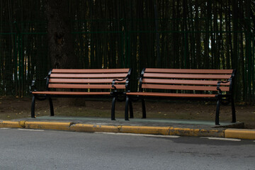 Summer Concept,Two empty benches in a park