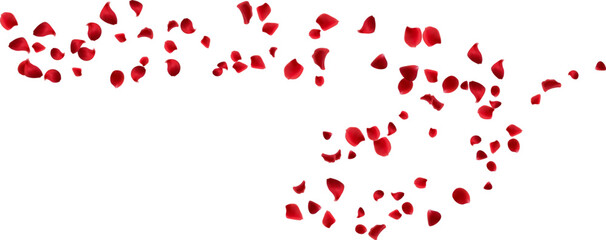 Decoration love day, greeting card with red rose petals floating wind line