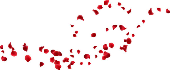 Flower floating wind line, rose petals flying isolated. Spa aroma