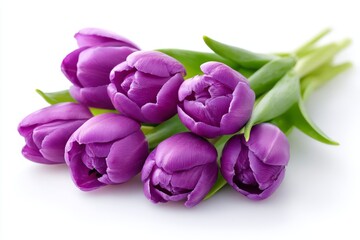 Obraz premium Purple Tulip Bouquet - A close-up shot of a beautiful bouquet of purple tulips on a white background. Perfect for spring, Easter, or Mother's Day
