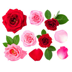 Romantic Rose Collection with Petals and Leaves, Transparent Background