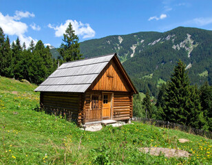 Obraz premium Simple Cabin in the Mountains