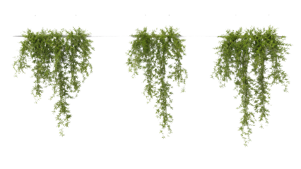 Rendered image of a classical vine isolated on transparent background.