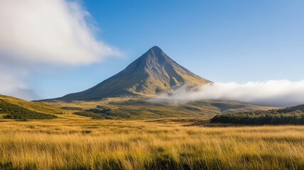 Expansive Autumn Landscape with Golden Grassland and Majestic Mountain Peak