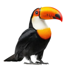 Fotobehang Toekan Vibrant toucan with a striking orange beak isolated on a black background on transparent background  © Jawad