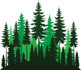 Obraz premium A Dense Forest of Evergreen Trees