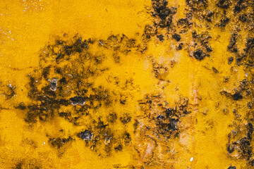 Close-up of grungy yellow wall with dark mold and peeling paint.
