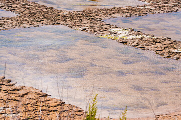 Closer view of salt pans with shallow water and earthen dividers under bright sunlight.